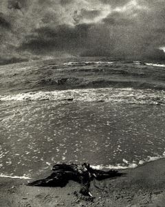 У последней черты