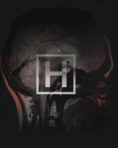 О тайном «свидомизме» Андрея Ваджры и его «разоблачителях»