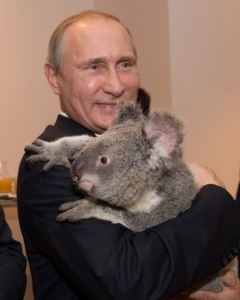 Путин и коала. Реальные итоги G20