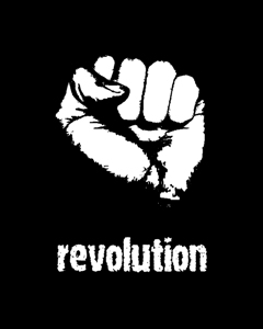 Специалисты по быстрым революциям: Наш секрет успеха - сделать сумасшествие нормой!