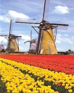 «Украйинацэевропа»: от ворот поворот?